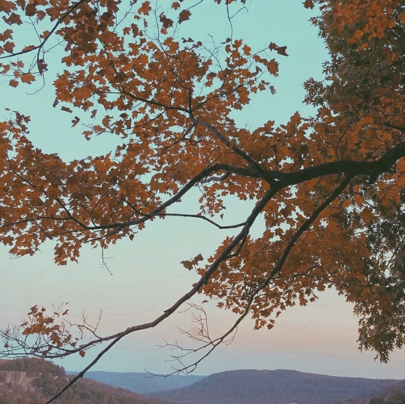 Meet your Posher, Eliana - Picture 1 of 1